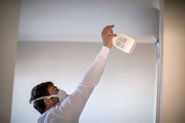 Best Commercial Mold Removal  in Somonauk, IL