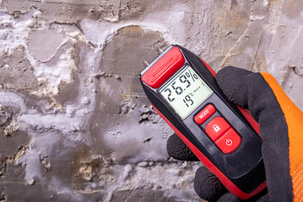 Best Best Mold Removal Companies  in Somonauk, IL
