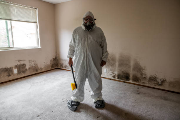 Best Emergency Mold Removal  in Somonauk, IL